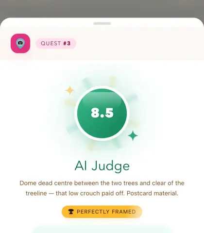The AI judge scores it