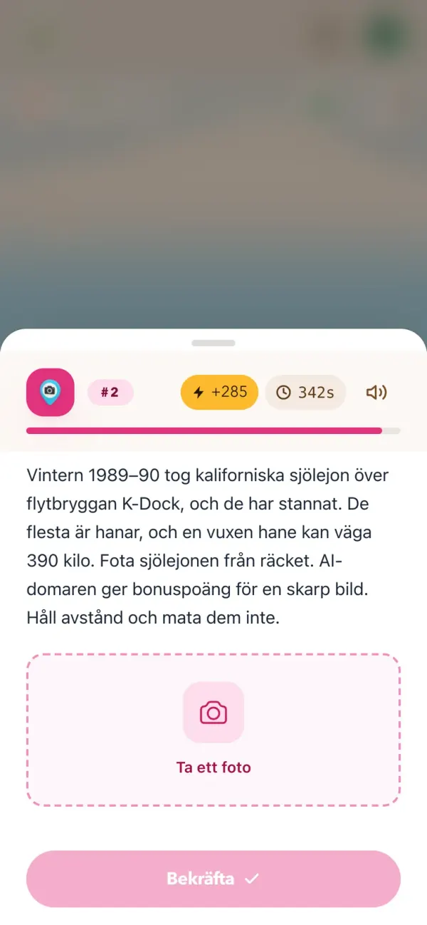 Sjölejonen på K-Dock